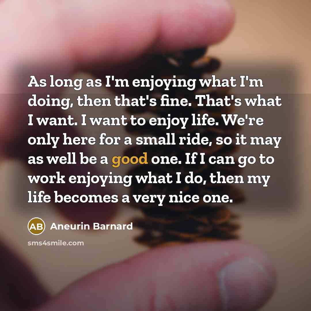 “As long as I'm enjoying what I'm doing, then that's…” quote by Aneurin Barnard