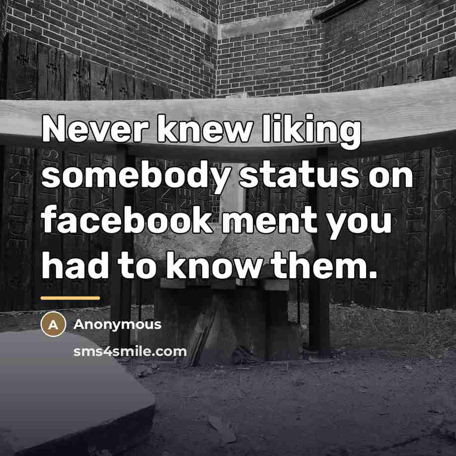 “Never knew liking somebody status on facebook ment you had…” quote by Anonymous