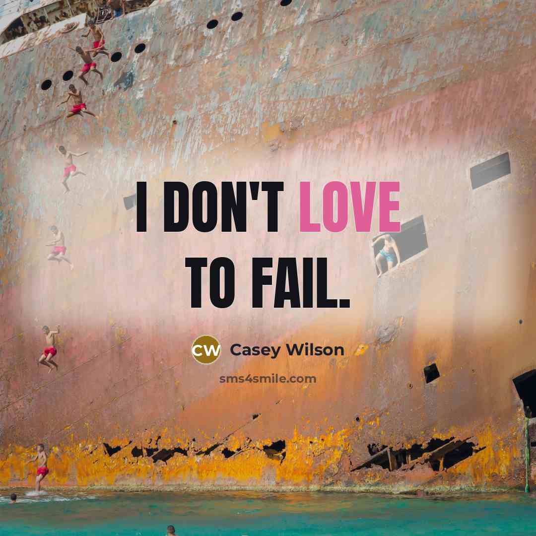 “I don't love to fail.…” quote by Casey Wilson