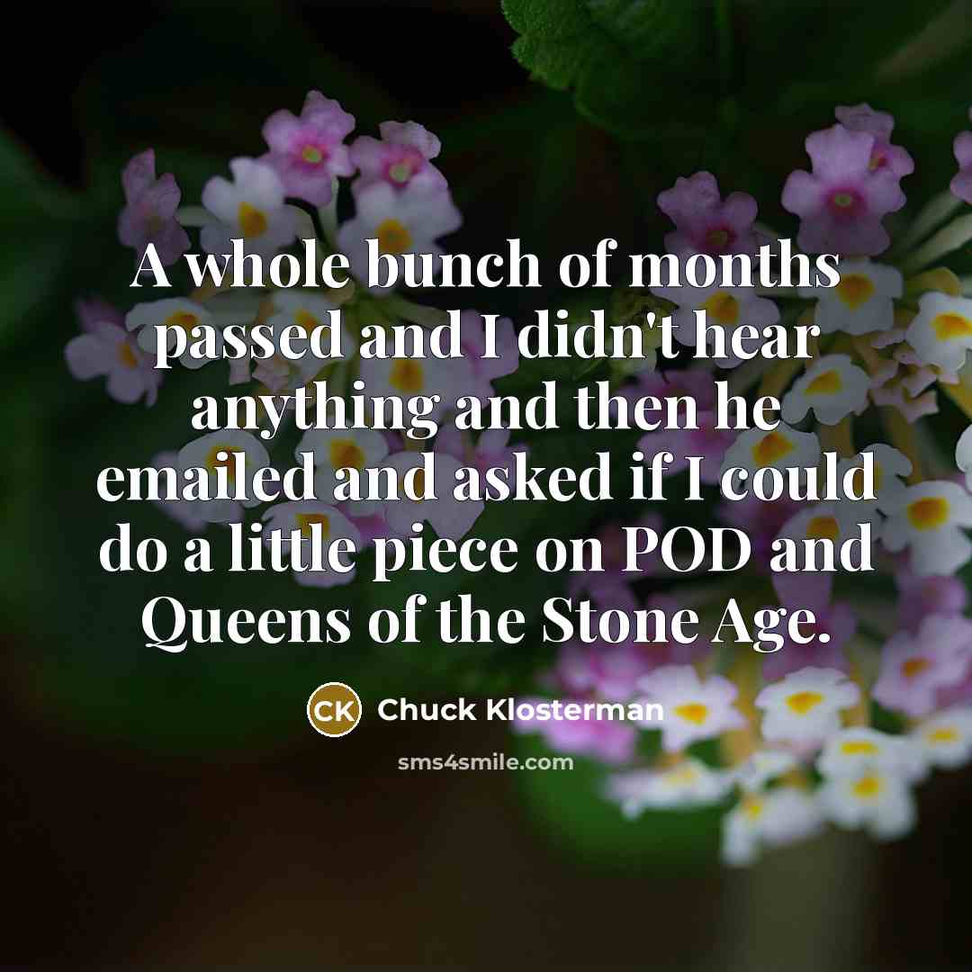 “A whole bunch of months passed and I didn't hear…” quote by Chuck Klosterman