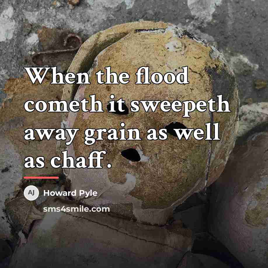 “When the flood cometh it sweepeth away grain as well…” quote by Howard Pyle