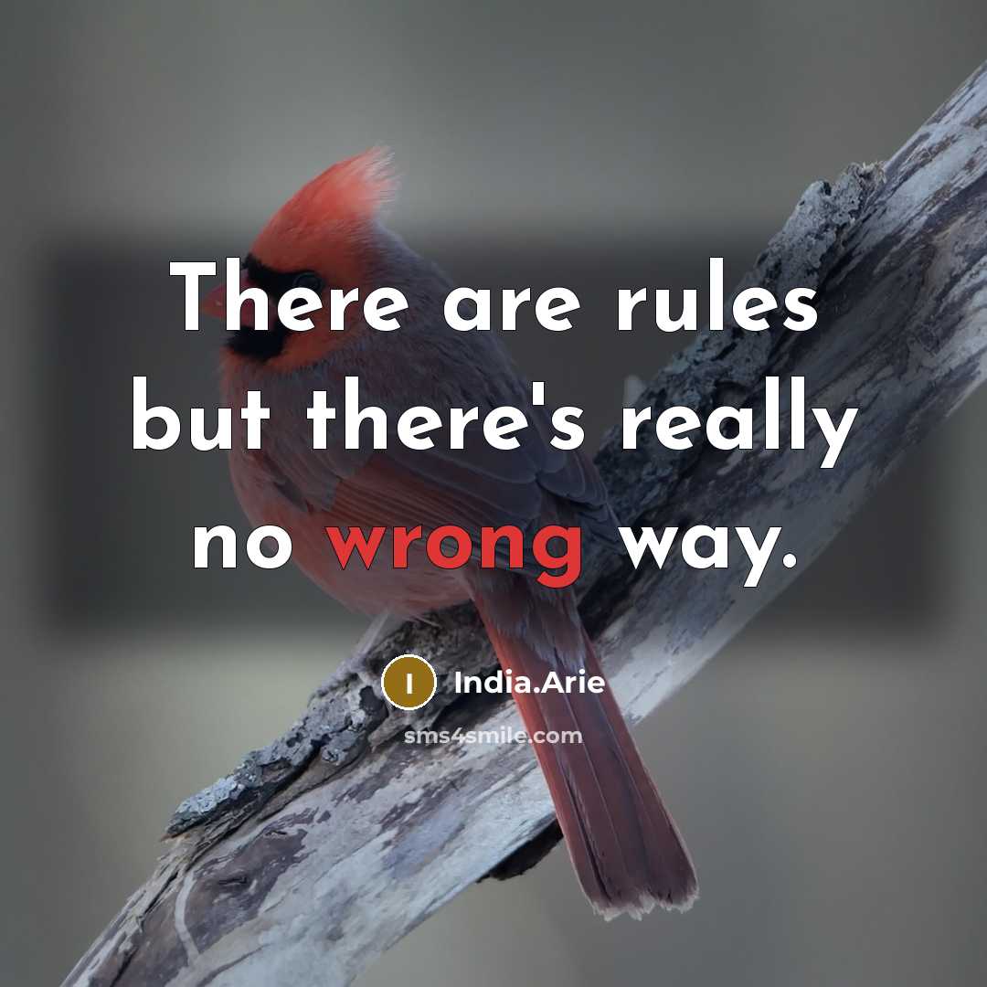 “There are rules but there's really no wrong way.…” quote by India.Arie