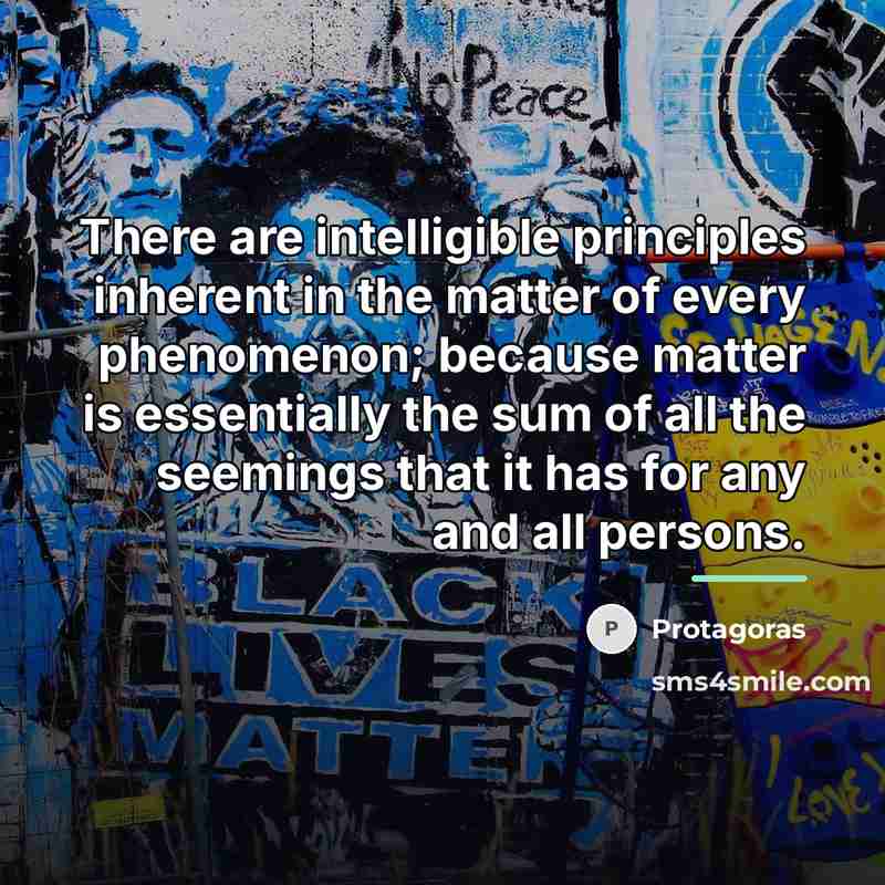 “There are intelligible principles inherent in the matter of every…” quote by Protagoras
