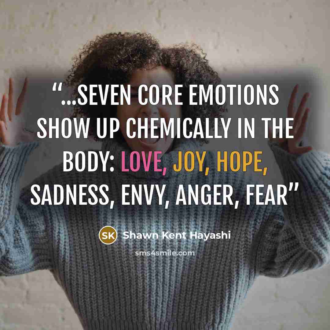 “...seven core emotions show up chemically in the body: Love, Joy, Hope, Sadness, Envy, Anger, Fear” quote by Shawn Kent Hayashi