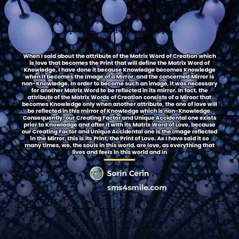 “When I said about the attribute of the Matrix Word…” quote by Sorin Cerin