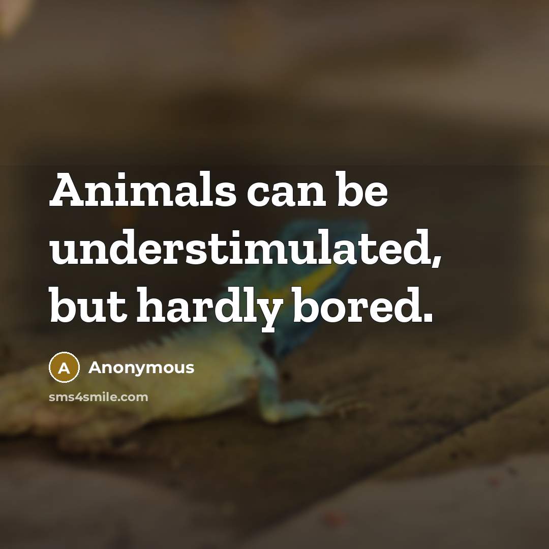 “Animals can be understimulated, but hardly bored.…” quote by Anonymous