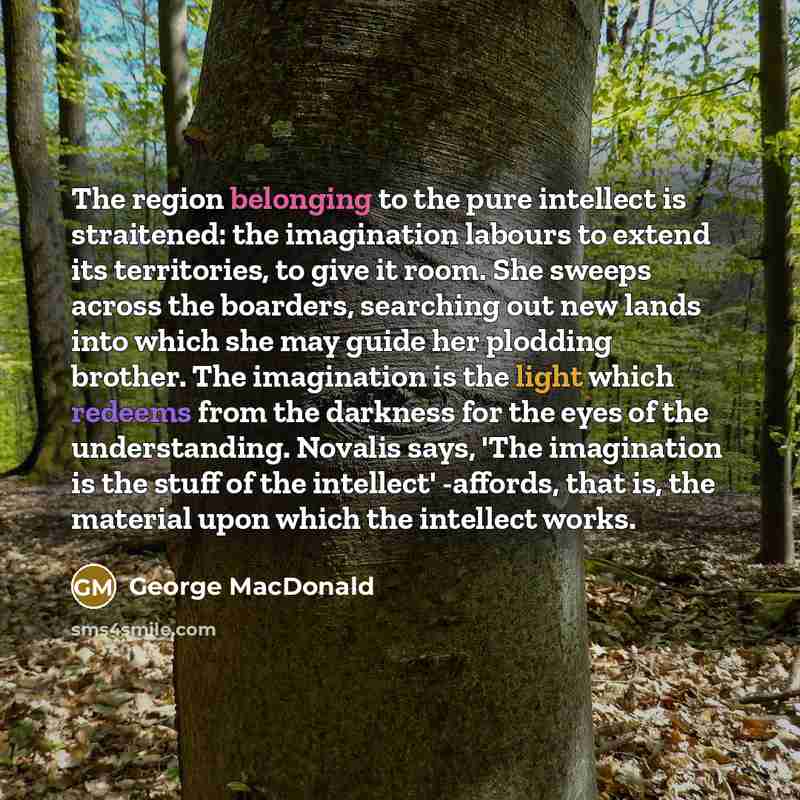 “The region belonging to the pure intellect is straitened: the…” quote by George MacDonald