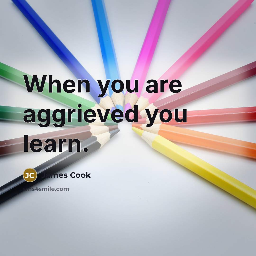 “When you are aggrieved you learn.…” quote by James Cook