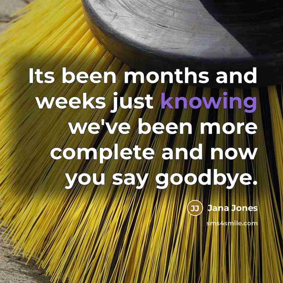 “Its been months and weeks just knowing we've been more complete and now you say goodbye.” quote by Jana Jones