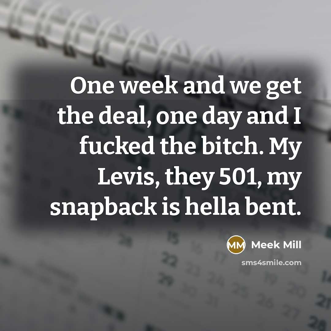 “One week and we get the deal, one day and I fucked the bitch. My Levis, they 501, my snapback is hella bent.” quote by Meek Mill