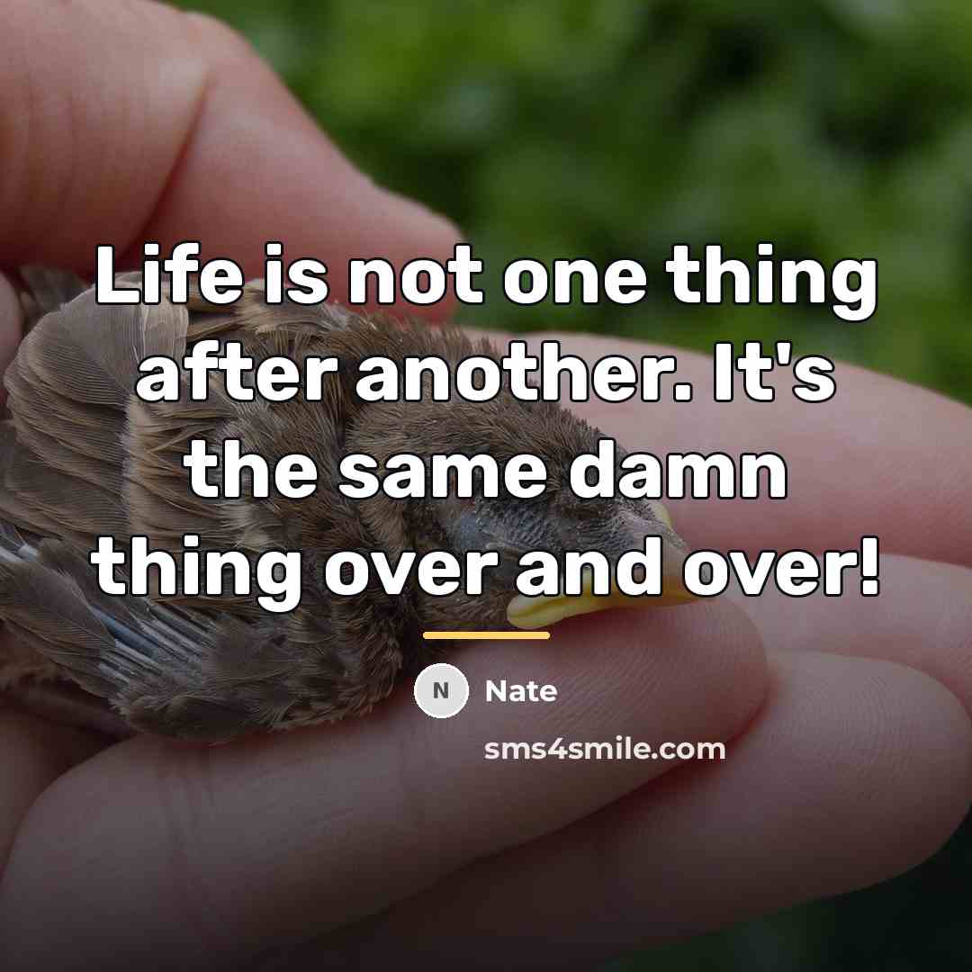“Life is not one thing after another. It's the same…” quote by Nate