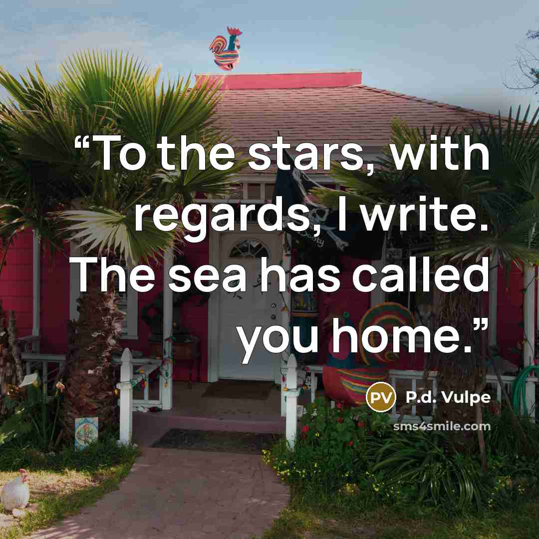 “To the stars, with regards, I write. The sea has called you home.” quote by P.d. Vulpe