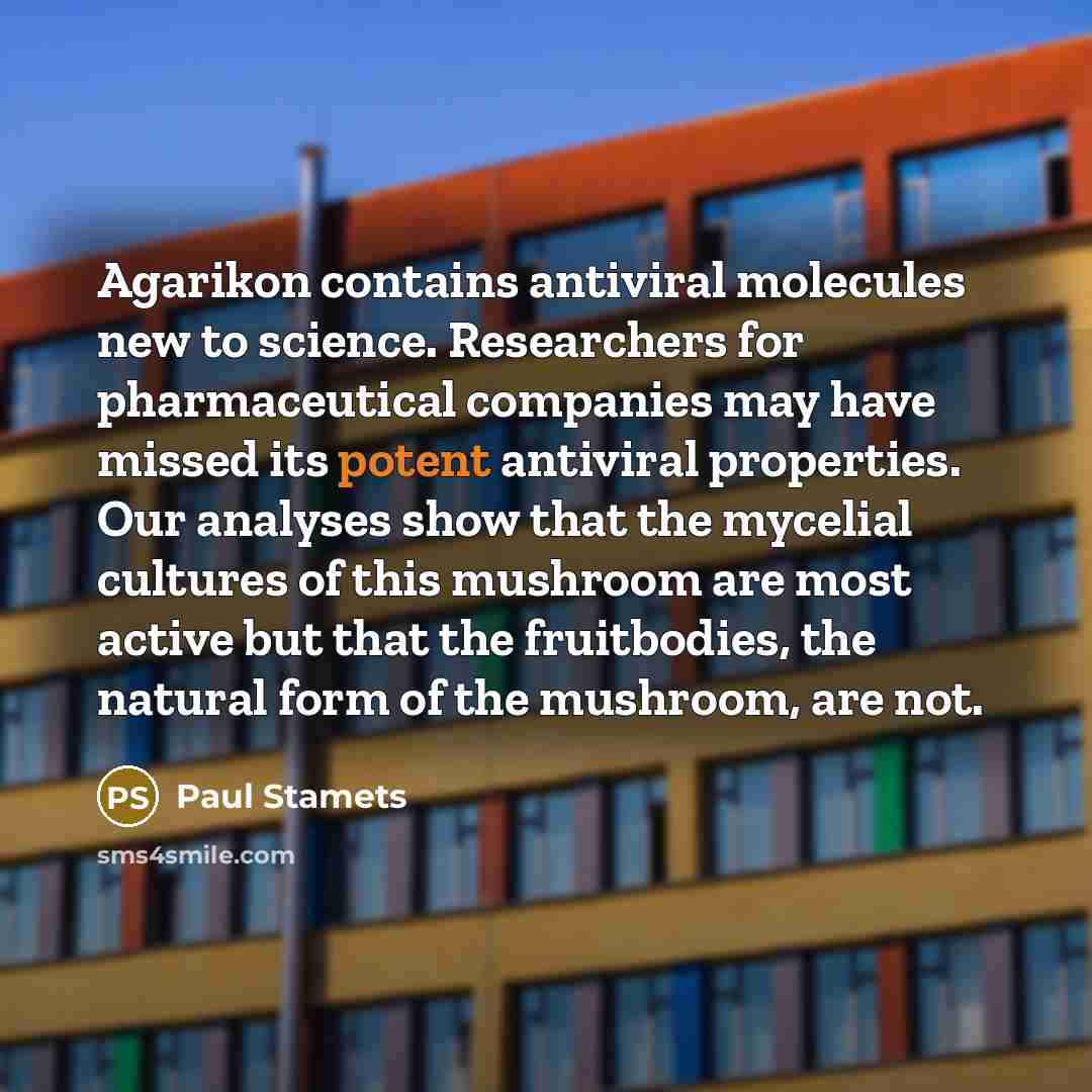 “Agarikon contains antiviral molecules new to science. Researchers for pharmaceutical…” quote by Paul Stamets