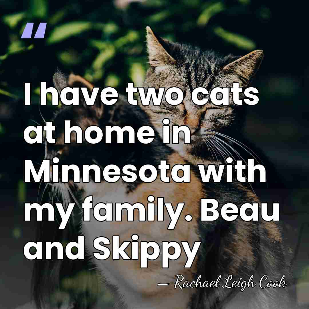 I have two cats at home in Minnesota with my family. Beau&hellip; - Rachael Leigh Cook