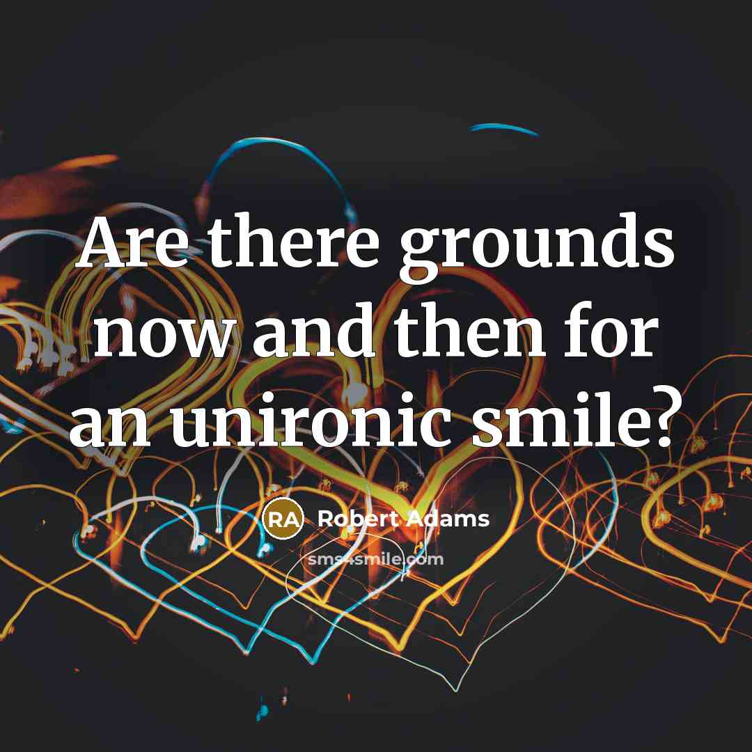 “Are there grounds now and then for an unironic smile?…” quote by Robert Adams