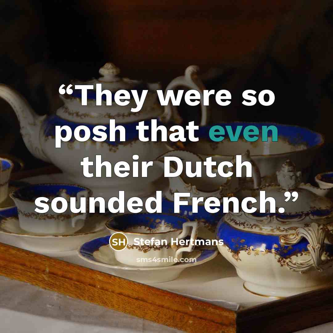 “They were so posh that even their Dutch sounded French.” quote by Stefan Hertmans