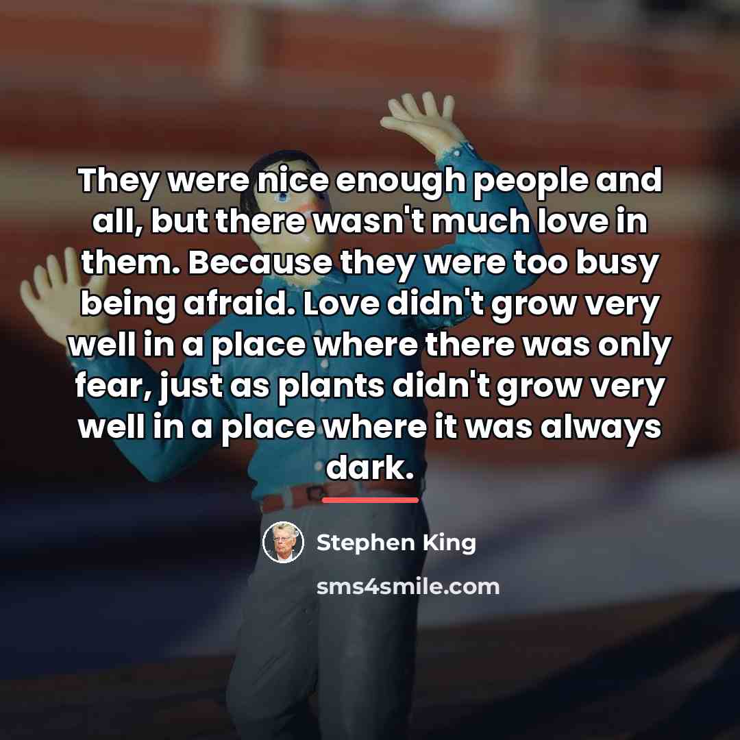 “They were nice enough people and all, but there wasn't…” quote by Stephen King