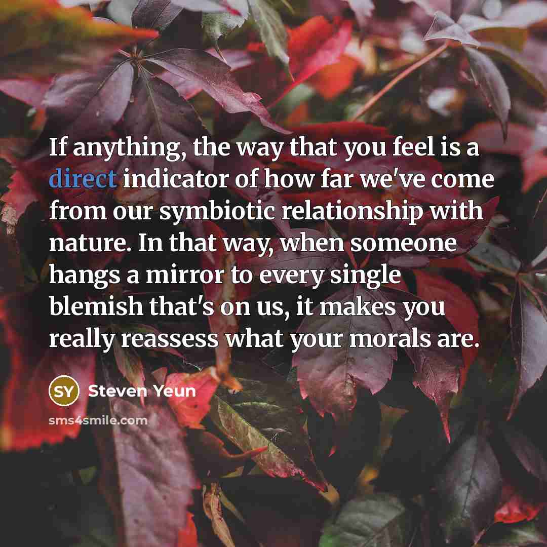 “If anything, the way that you feel is a direct…” quote by Steven Yeun