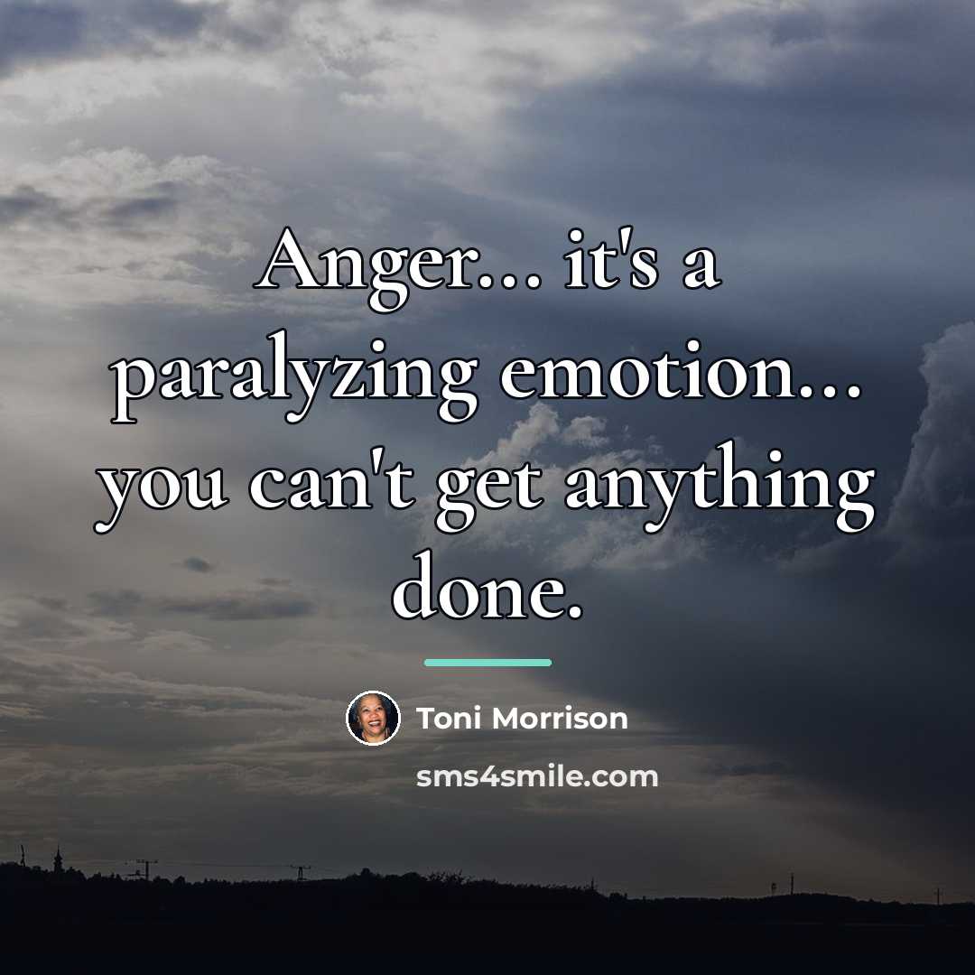 “Anger... it's a paralyzing emotion... you can't get anything done.…” quote by Toni Morrison
