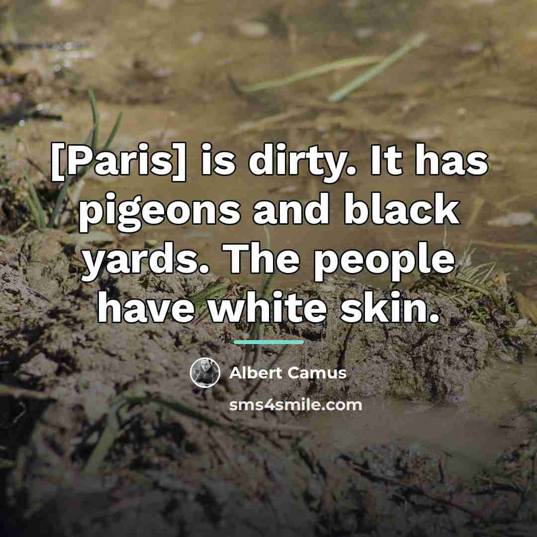 “[Paris] is dirty. It has pigeons and black yards. The…” quote by Albert Camus