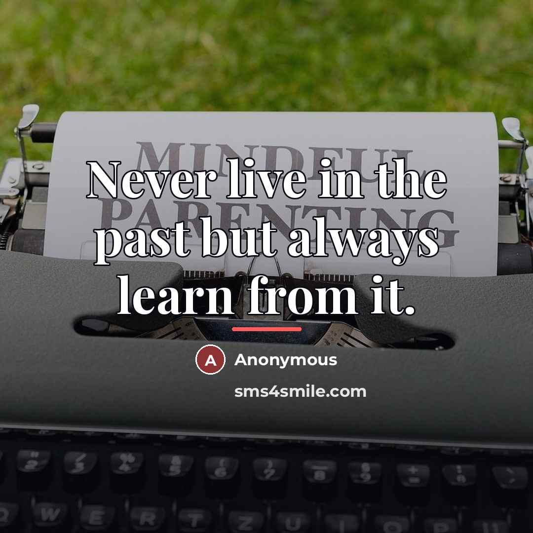 “Never live in the past but always learn from it.…” quote by Anonymous