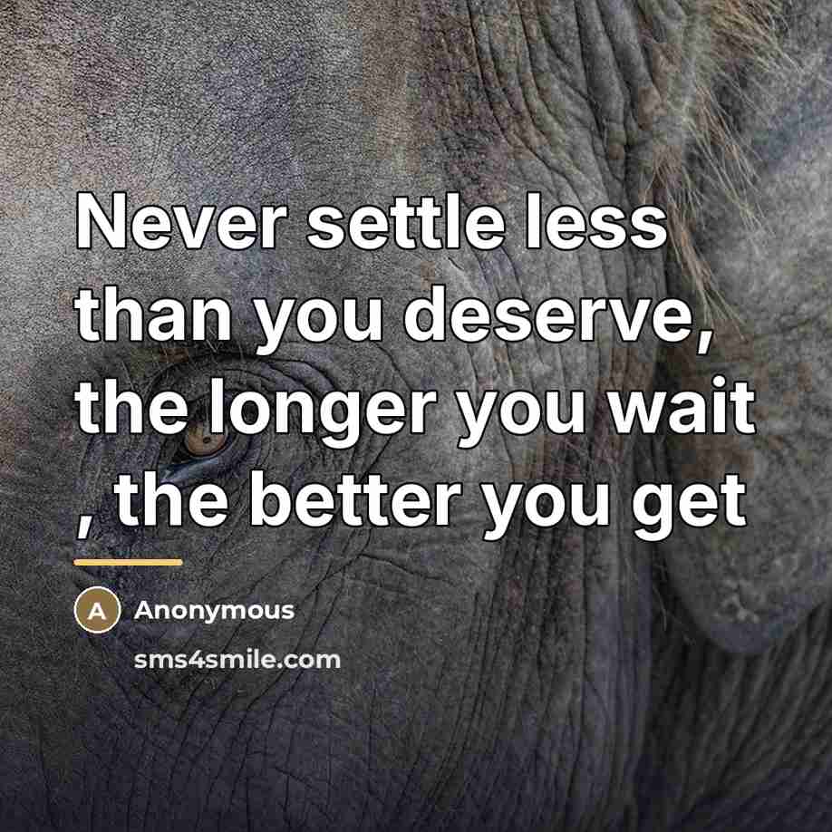 “Never settle less than you deserve, the longer you wait…” quote by Anonymous