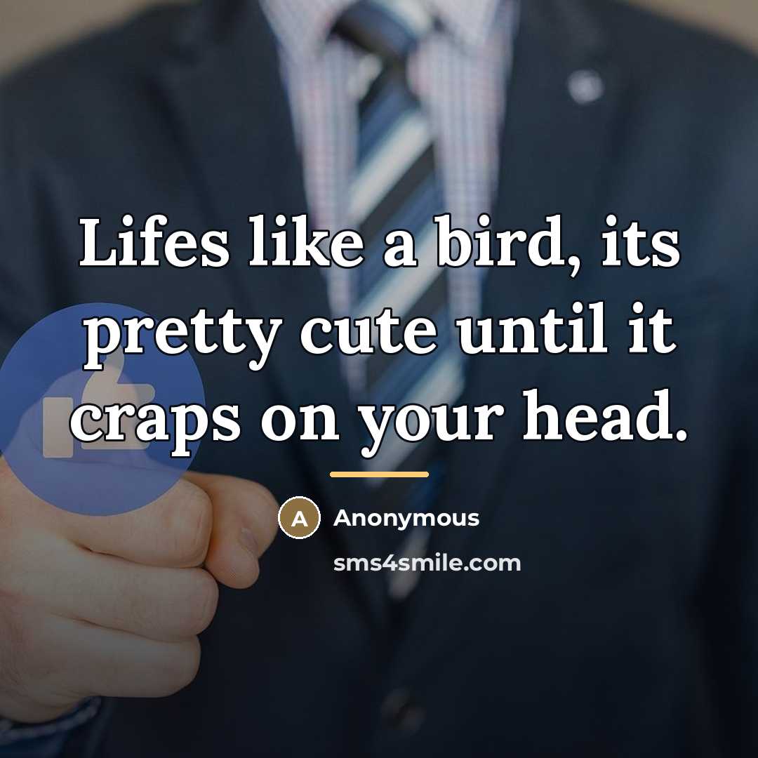 “Lifes like a bird, its pretty cute until it craps…” quote by Anonymous