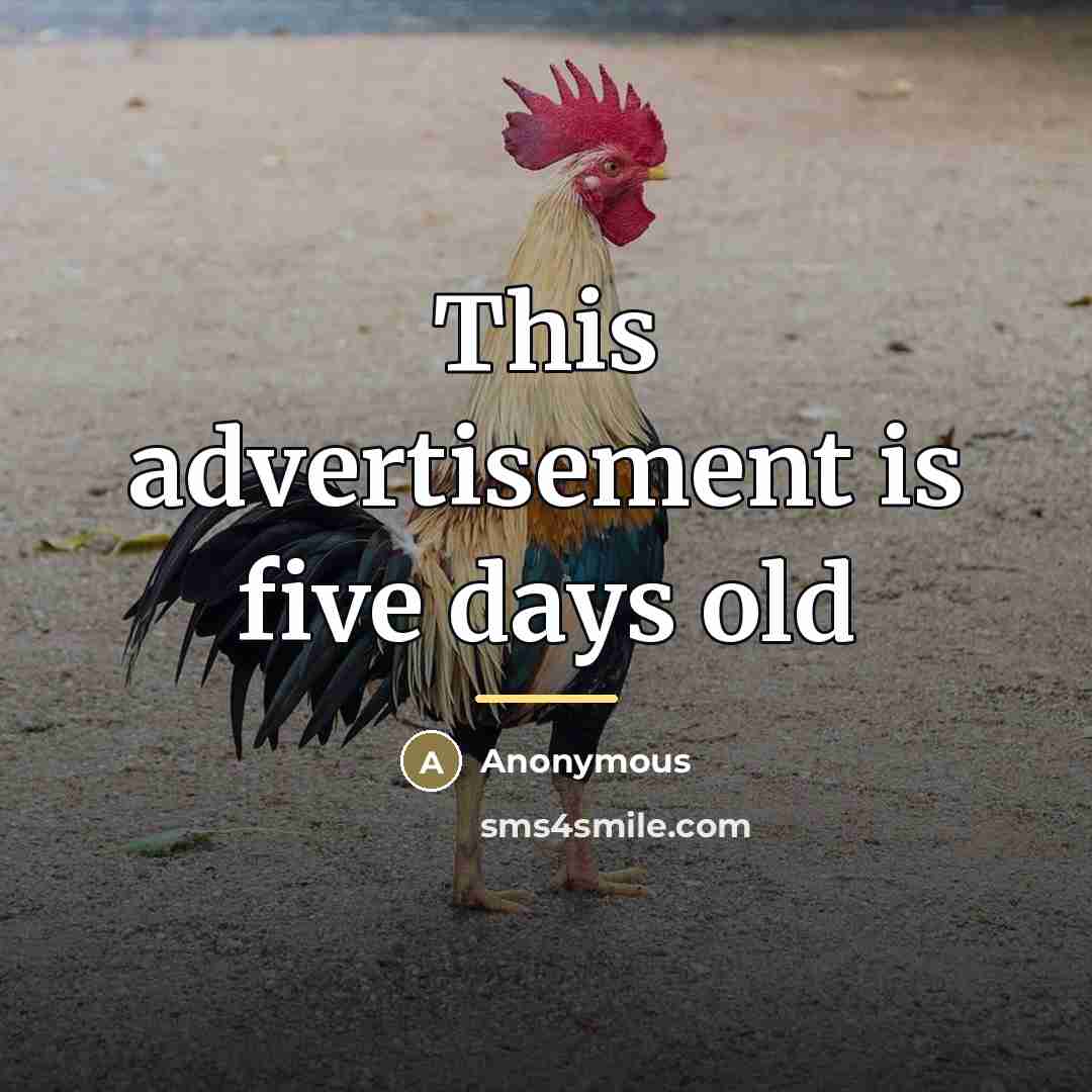 “This advertisement is five days old…” quote by Anonymous