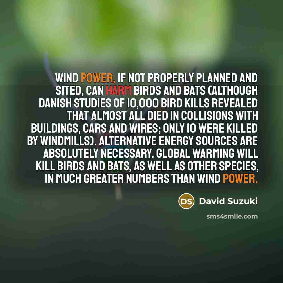 “Wind power, if not properly planned and sited, can harm…” quote by David Suzuki
