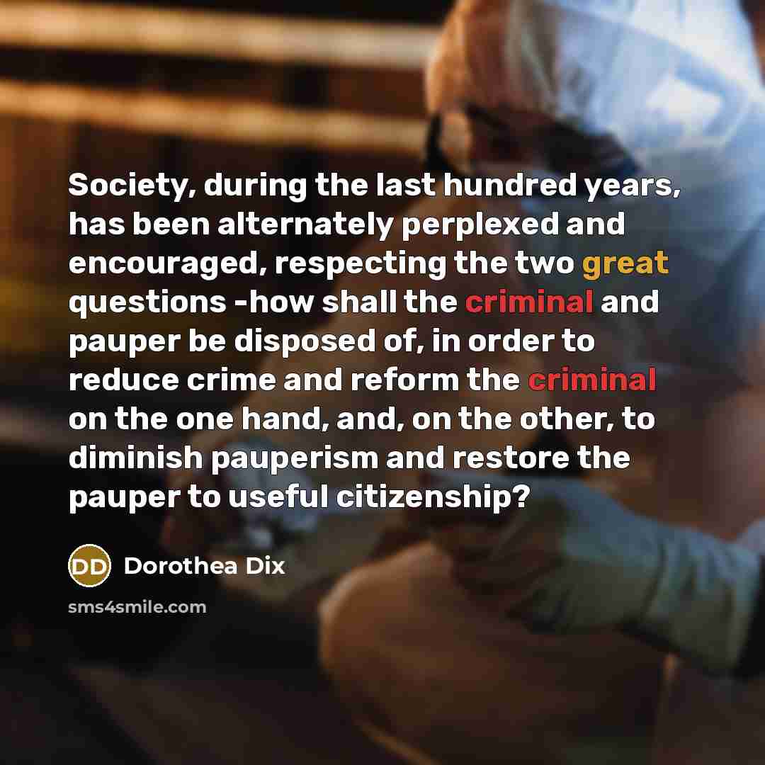 “Society, during the last hundred years, has been alternately perplexed…” quote by Dorothea Dix