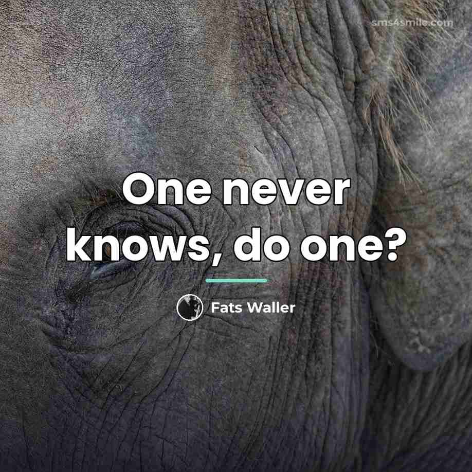 “One never knows, do one?…” quote by Fats Waller