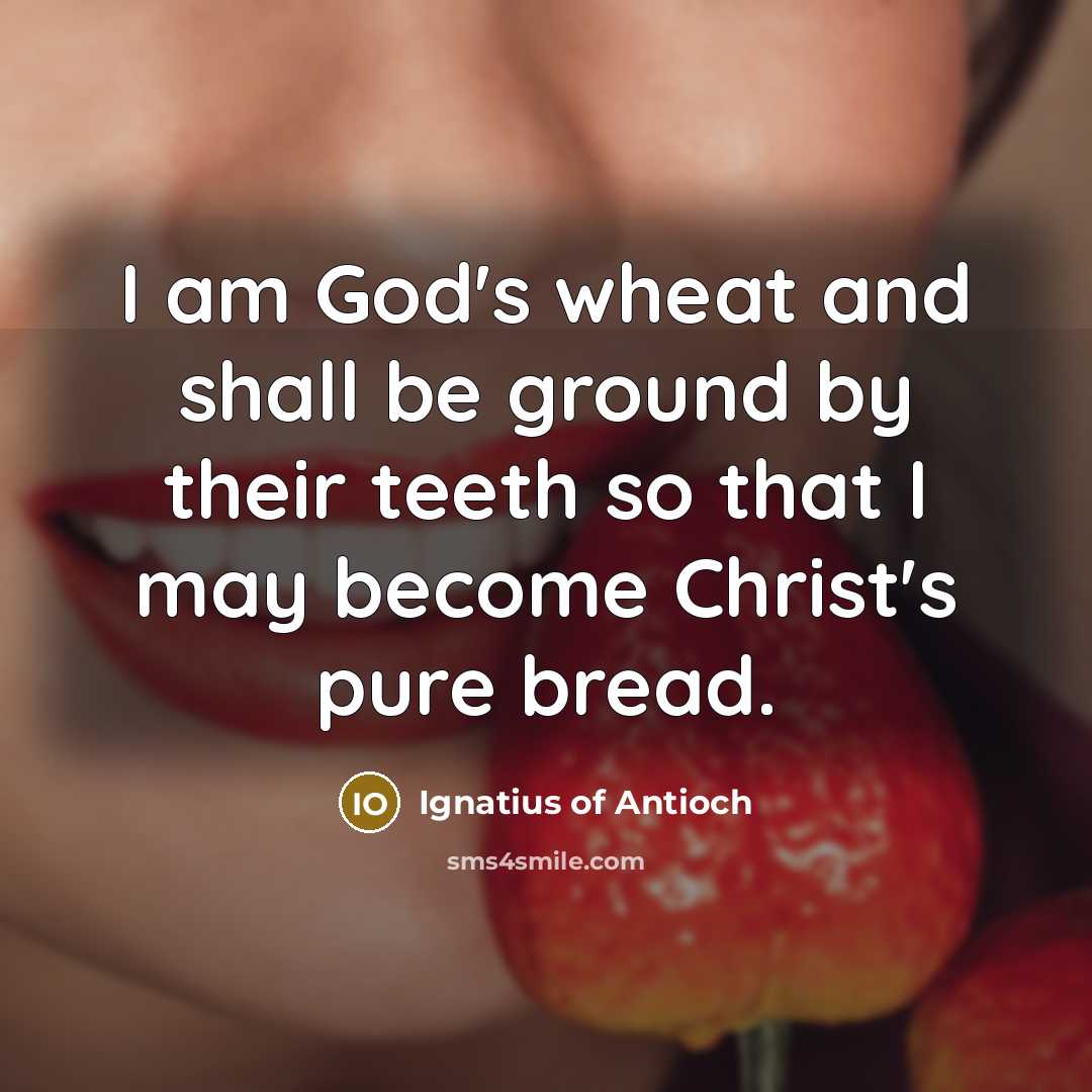 “I am God's wheat and shall be ground by their…” quote by Ignatius of Antioch