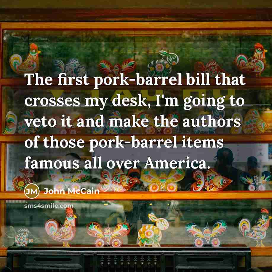 “The first pork-barrel bill that crosses my desk, I'm going…” quote by John McCain