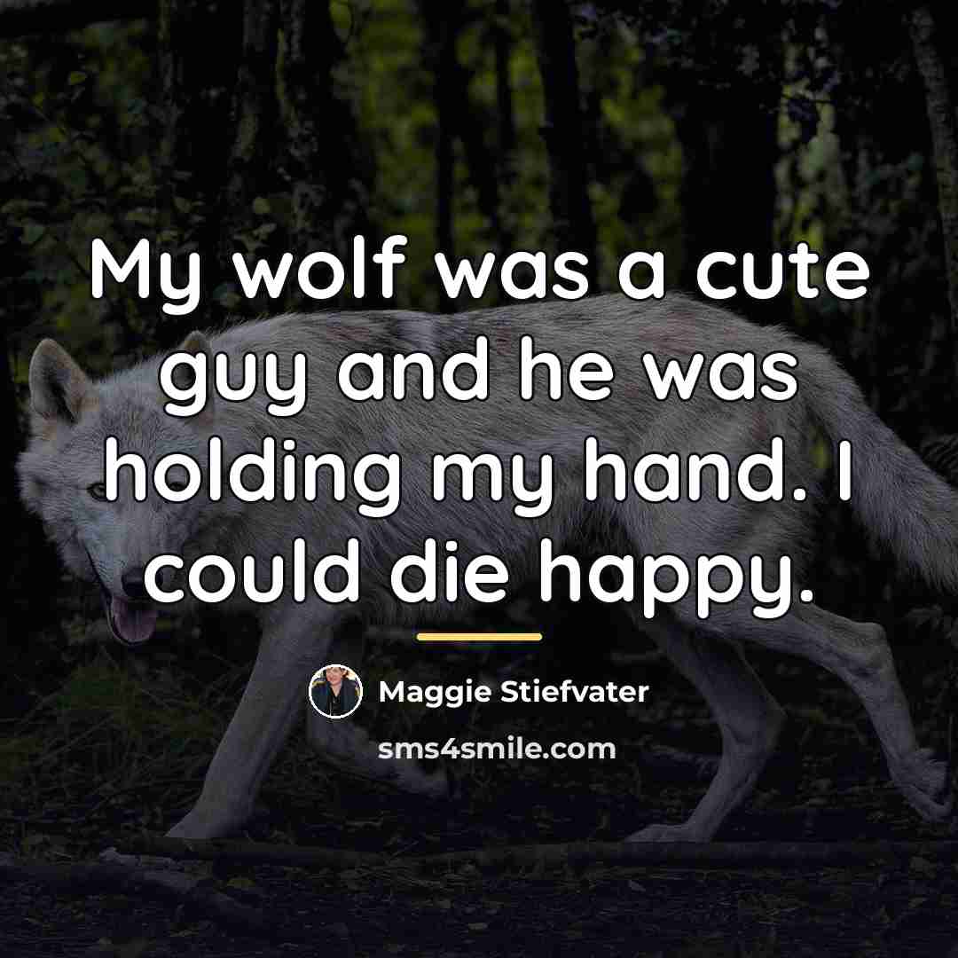 “My wolf was a cute guy and he was holding…” quote by Maggie Stiefvater