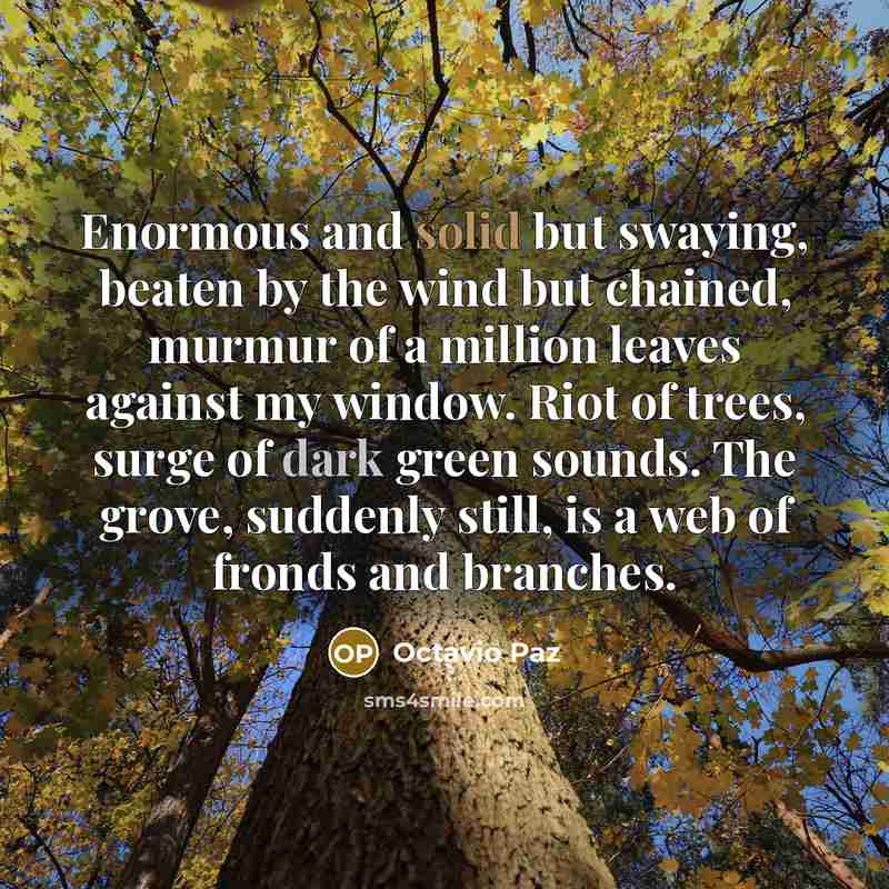 “Enormous and solid but swaying, beaten by the wind but…” quote by Octavio Paz