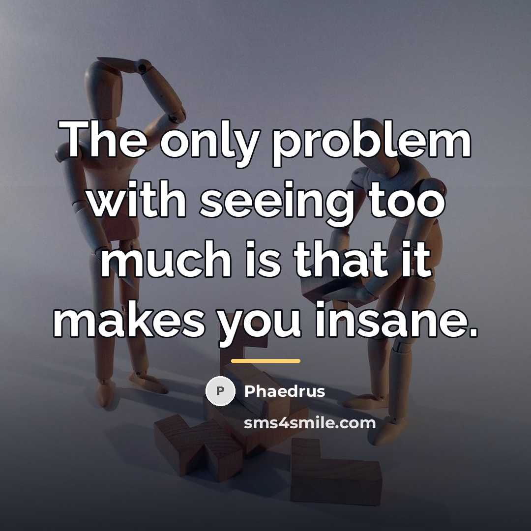 “The only problem with seeing too much is that it…” quote by Phaedrus