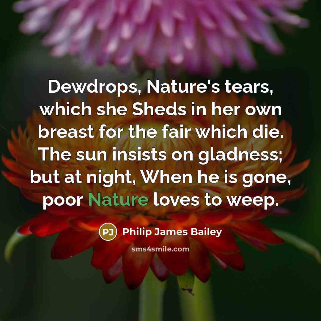 “Dewdrops, Nature's tears, which she Sheds in her own breast…” quote by Philip James Bailey