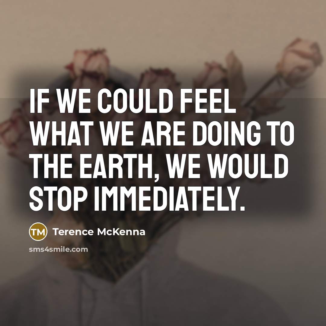 “If we could feel what we are doing to the…” quote by Terence McKenna
