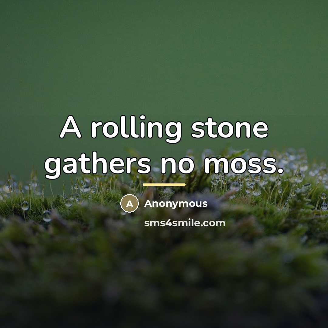 “A rolling stone gathers no moss.…” quote by Anonymous