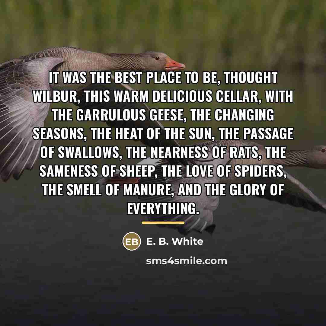 “It was the best place to be, thought Wilbur, this…” quote by E. B. White
