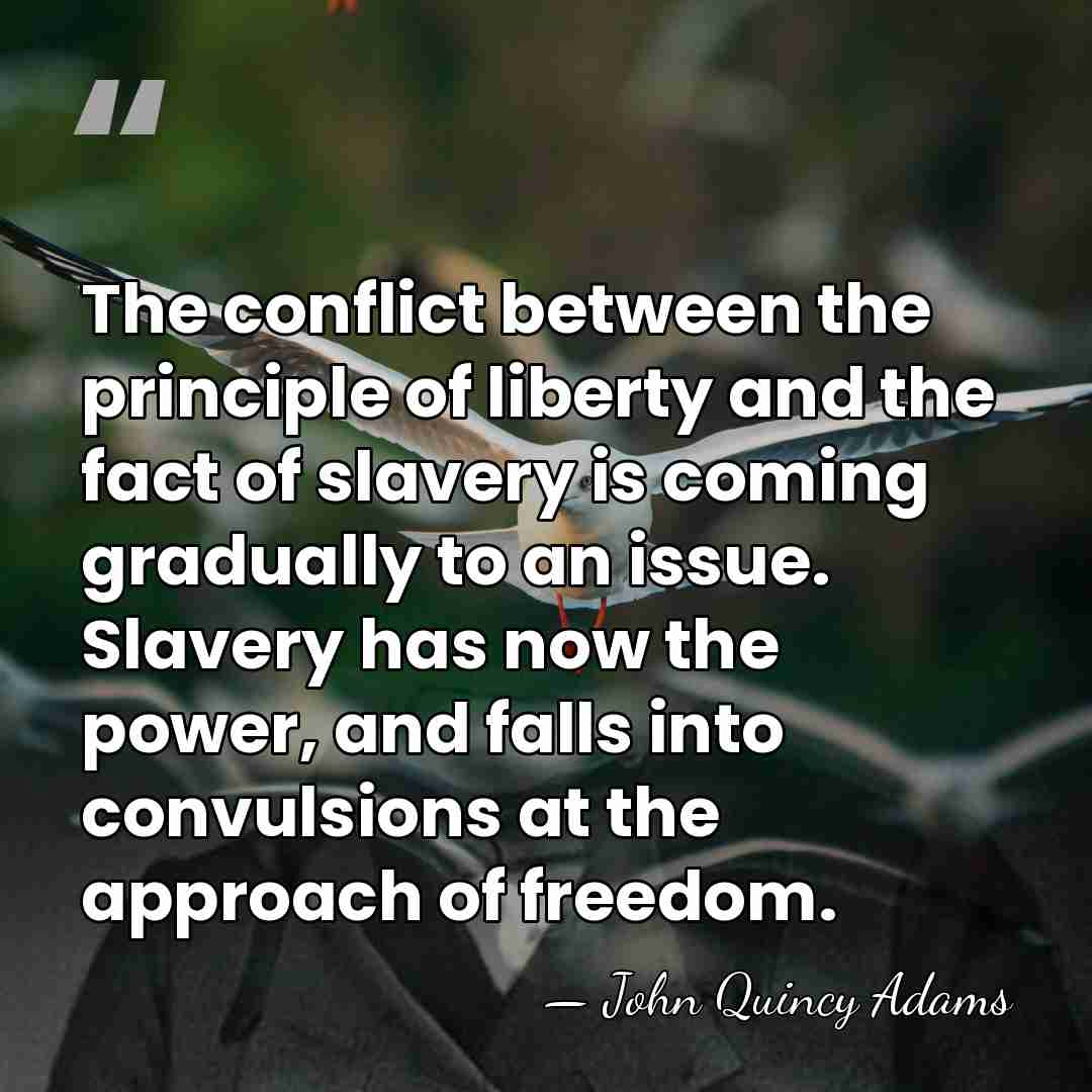 The conflict between the principle of liberty and the fact of slavery&hellip; - John Quincy Adams