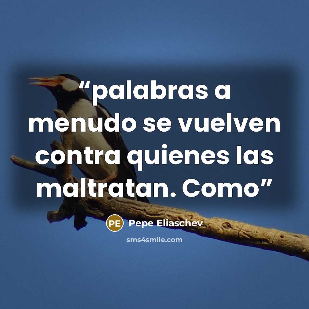 “palabras a menudo se vuelven contra quienes las maltratan. Como” quote by Pepe Eliaschev