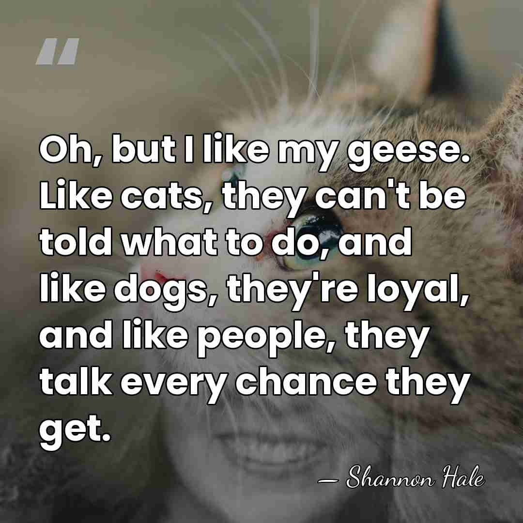 Oh, but I like my geese. Like cats, they can't be told&hellip; - Shannon Hale