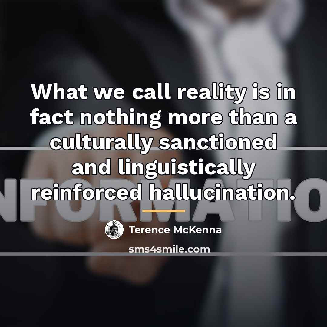“What we call reality is in fact nothing more than…” quote by Terence McKenna