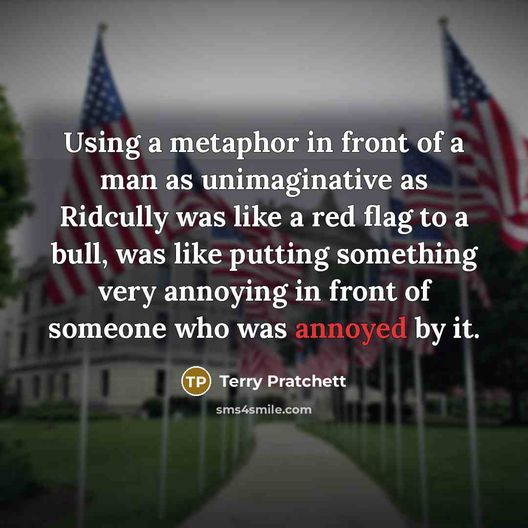 “Using a metaphor in front of a man as unimaginative…” quote by Terry Pratchett