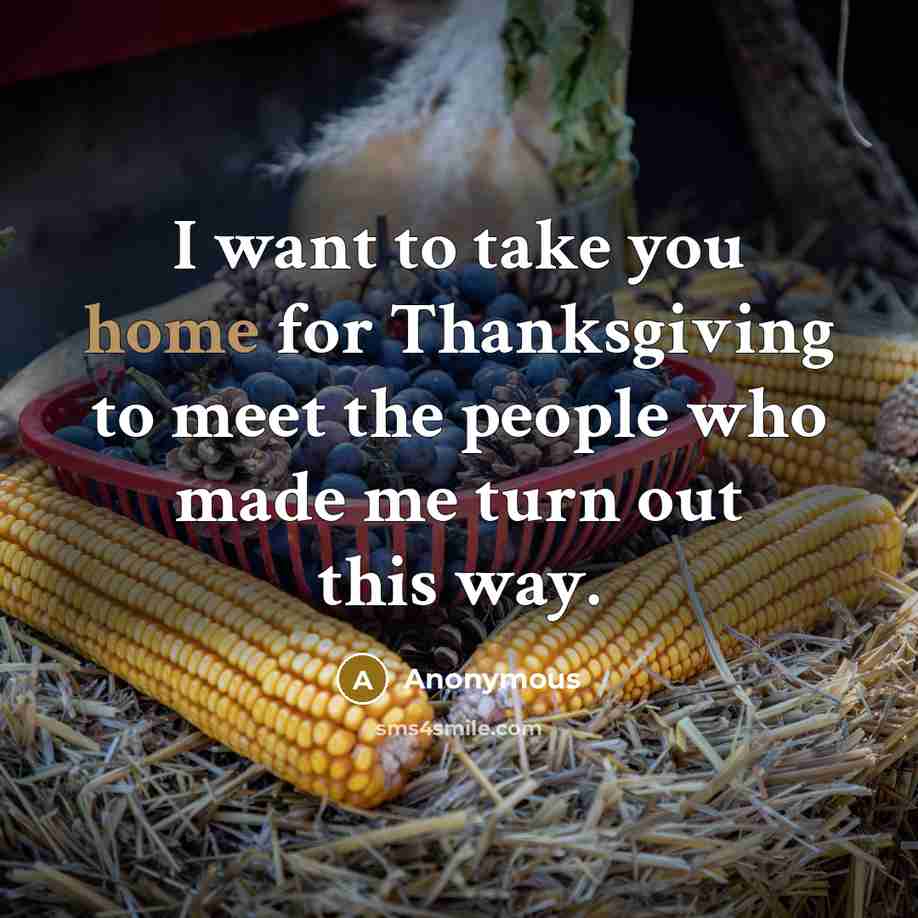 “I want to take you home for Thanksgiving to meet…” quote by Anonymous