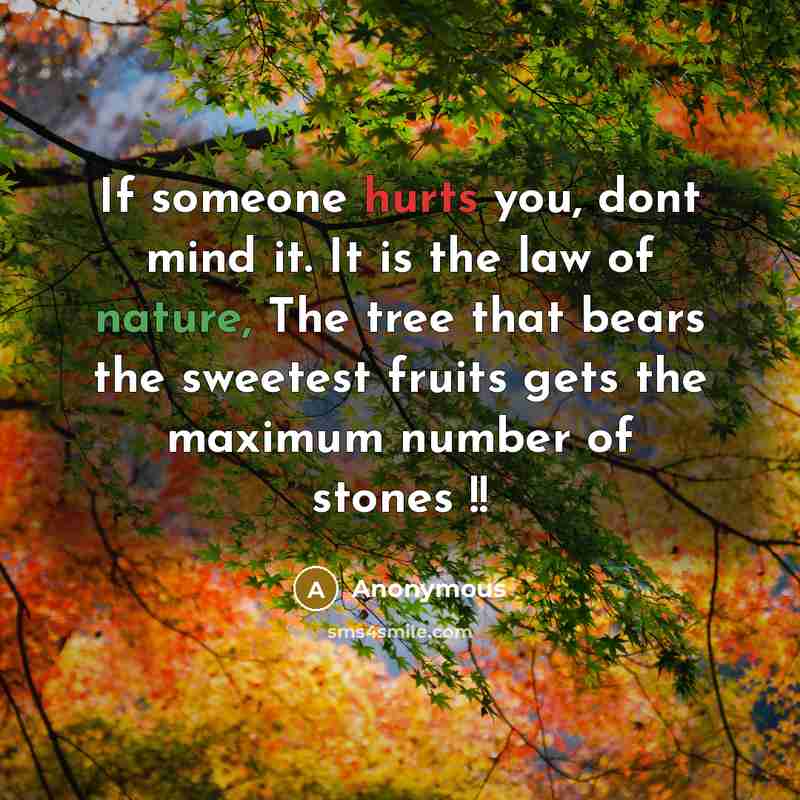 “If someone hurts you, dont mind it. It is the law of nature, The tree that bears the sweetest fruits gets the maximum number of stones !!” quote by Anonymous