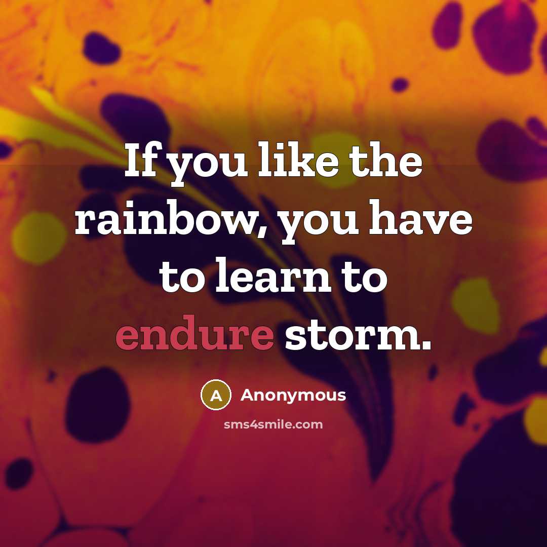 “If you like the rainbow, you have to learn to…” quote by Anonymous