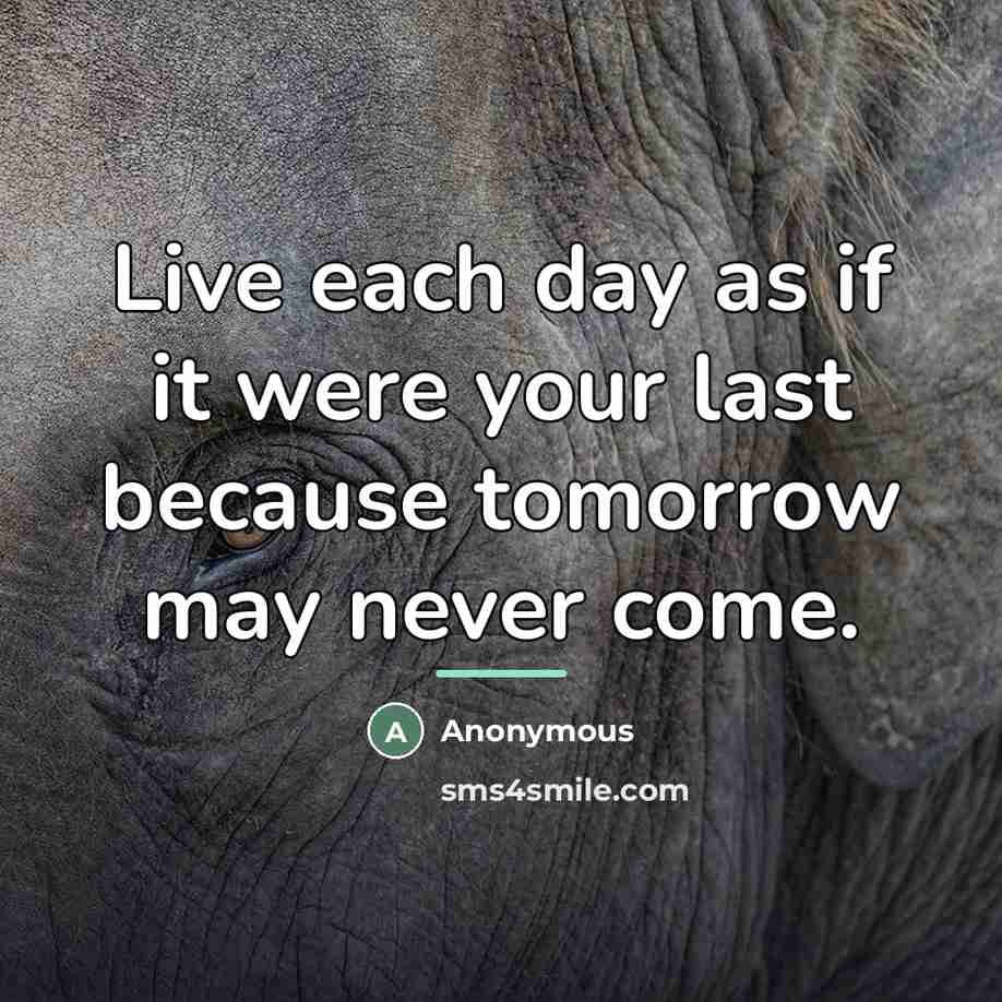 “Live each day as if it were your last because…” quote by Anonymous