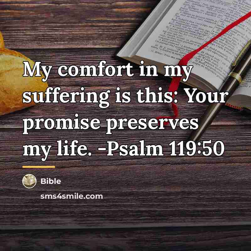 “My comfort in my suffering is this: Your promise preserves…” quote by Bible